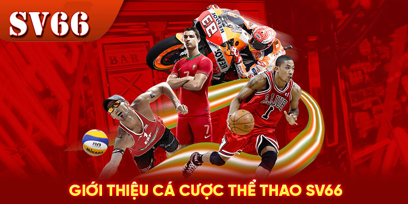 Lịch Sử và Sự Phát Triển của Thể Thao Sv66